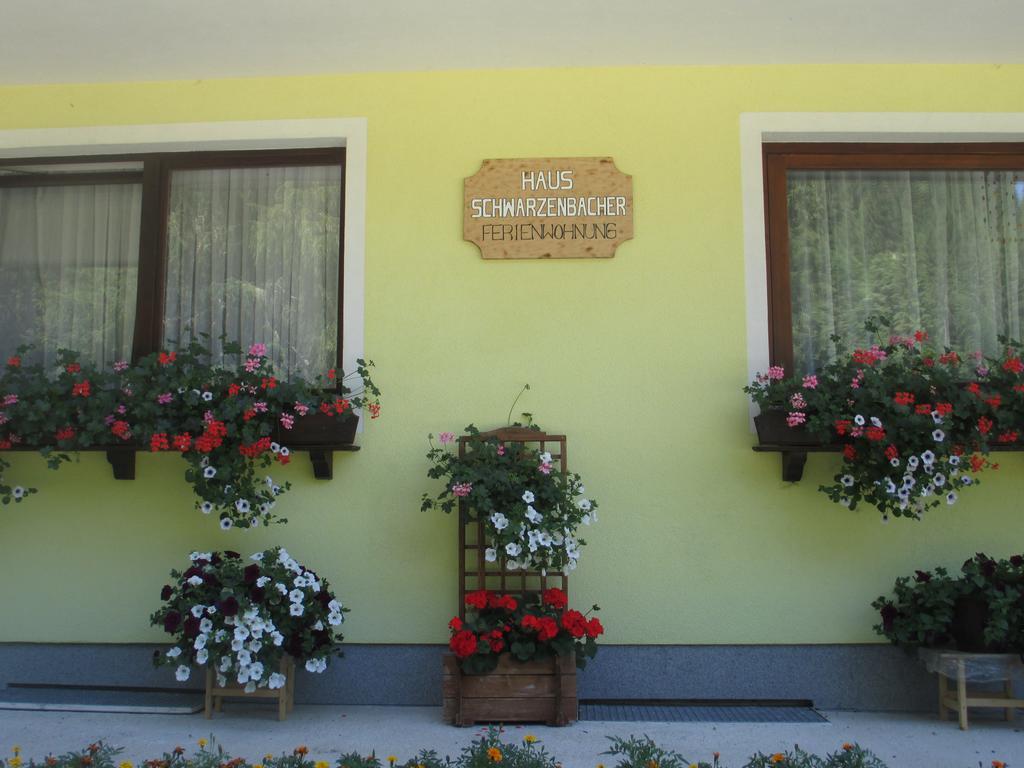 Schwarzenbacher Lungotz Room photo